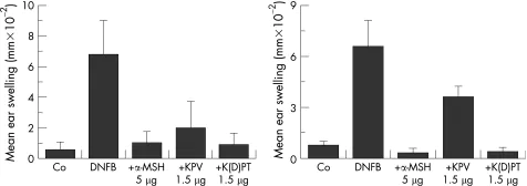 KPV Ear Swelling
