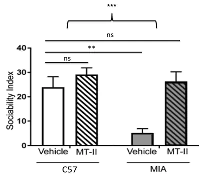 melanotan 2 autism
