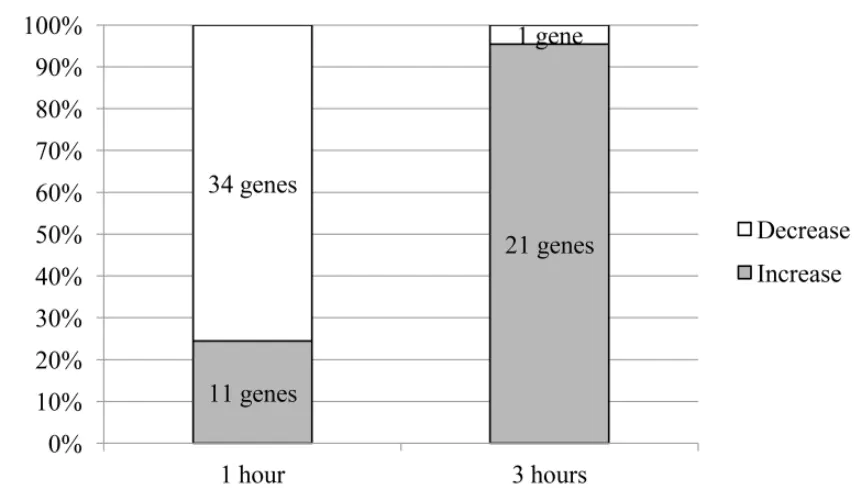 selank diagram